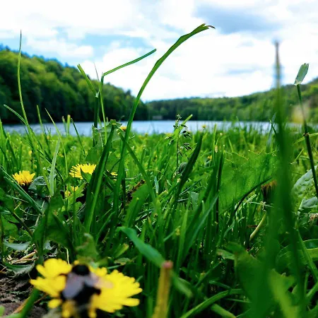 Zamkowisko Bed & Breakfast 3*