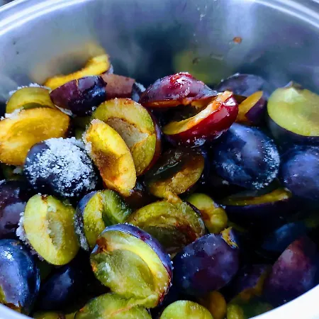 Zamkowisko فندق مبيت وإفطار غولوبي