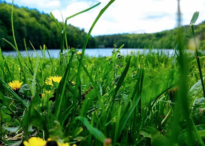 Zamkowisko Bed & Breakfast 3*