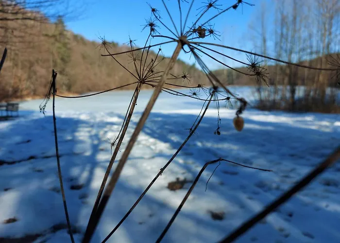 Zamkowisko Bed & Breakfast