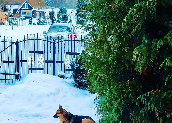 Bed & Breakfast Zamkowisko 3*